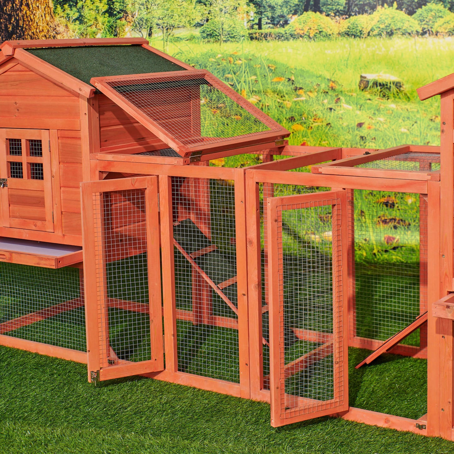 Chicken Coop Duplex with Outdoor Run