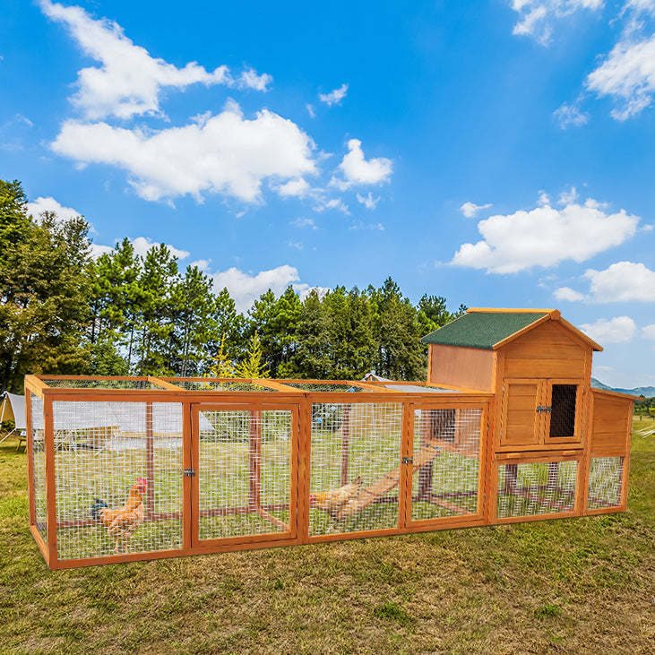 Wooden Chicken Coop