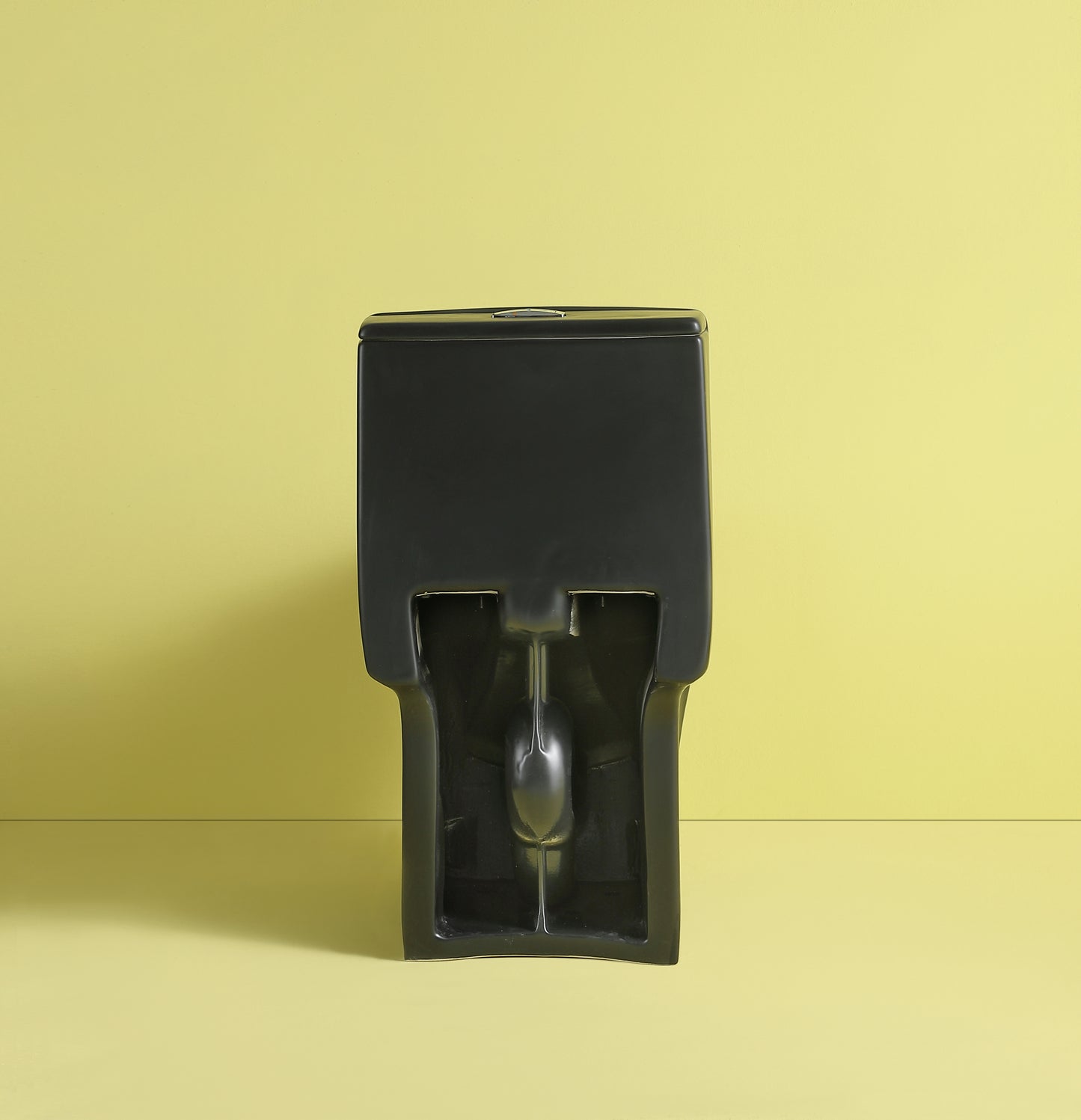 1.1/1.6 GPF Dual Flush 1-Piece Elongated Toilet with Soft-Close Seat - Matt Black 23T02-MB