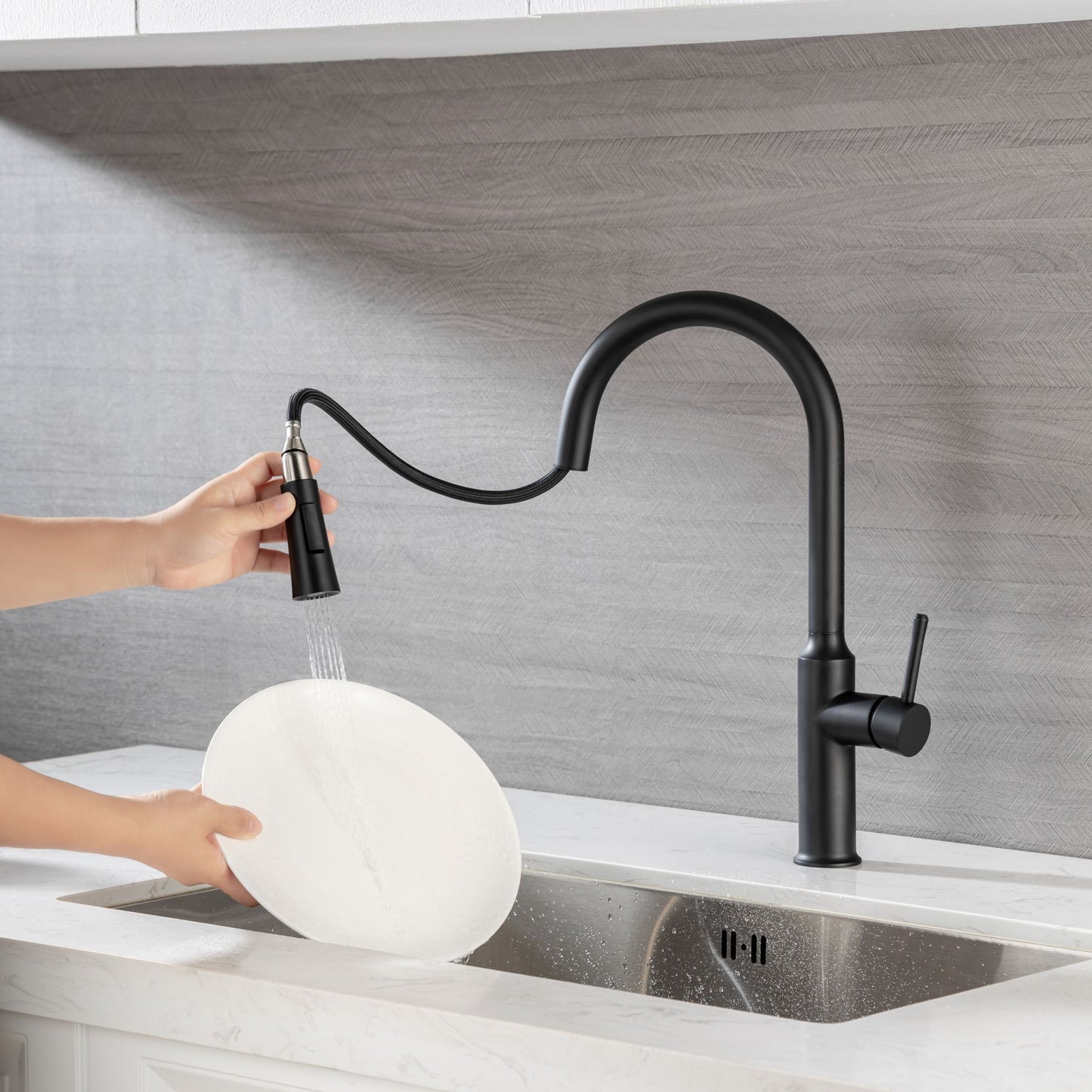 Rainlex Pull Down Kitchen Faucet