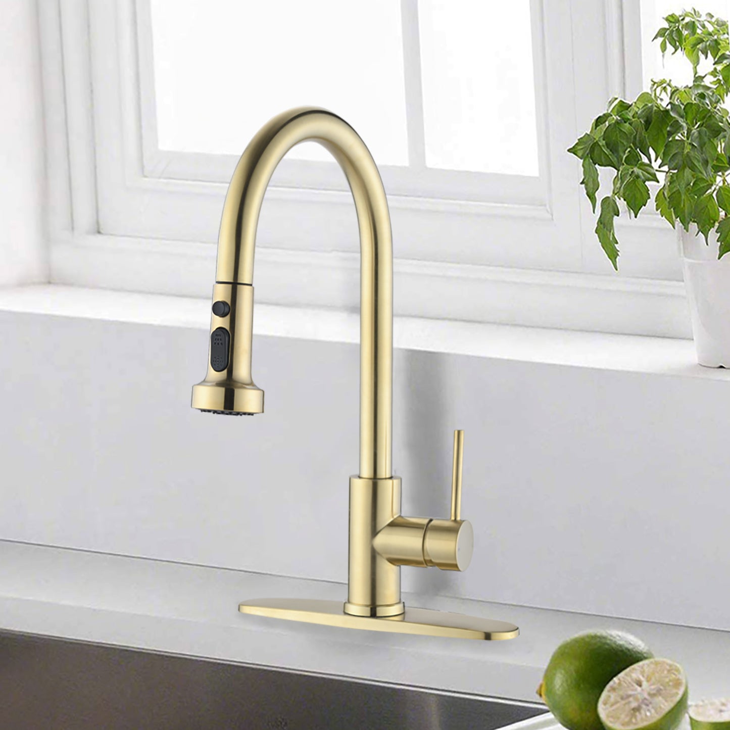 Stainless Steel Pull Down Kitchen Faucet with Sprayer Brushed Gold