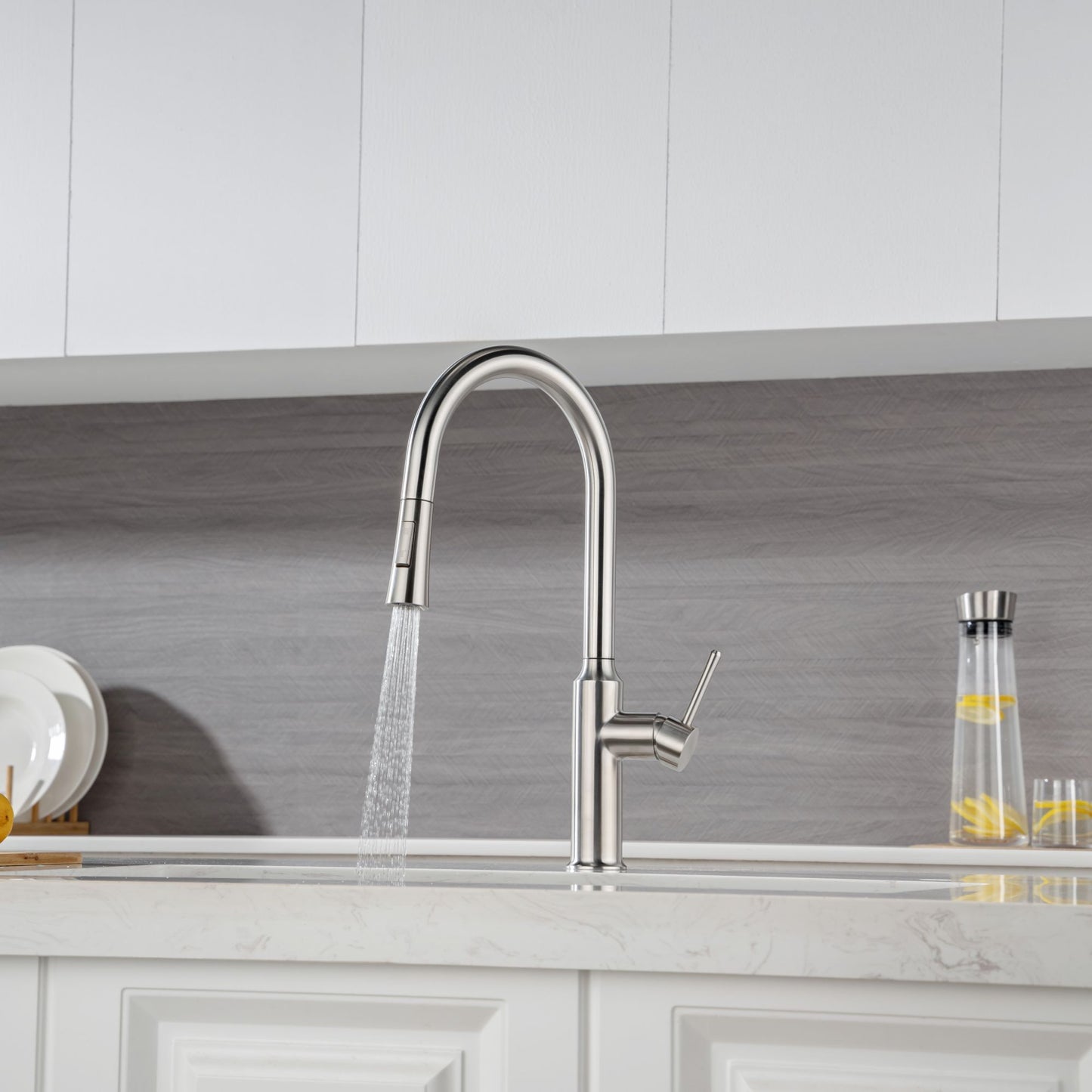 Rainlex Pull Down Kitchen Faucet