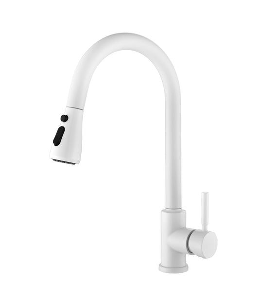 Kitchen Faucet with Pull Out Spraye