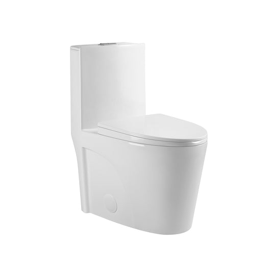 One-piece Dual Flush Elongated Toilet in White