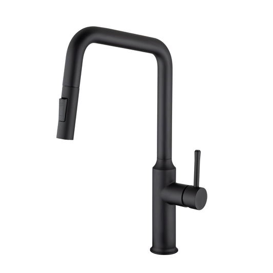 Rainlex Pull Down Kitchen Faucet