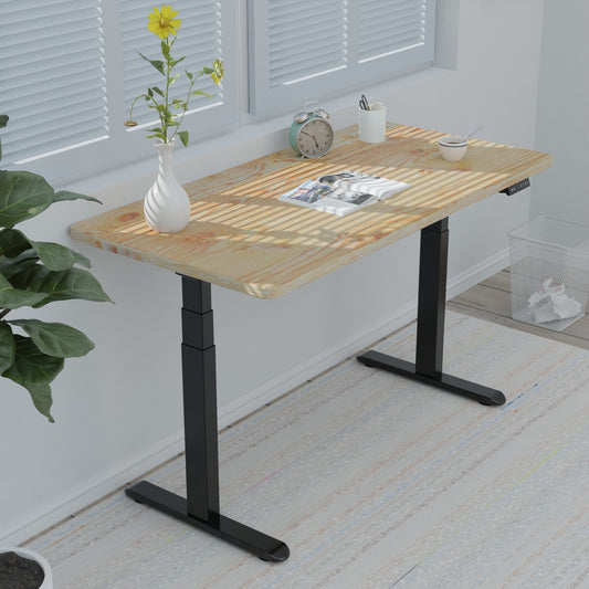 ErGear Electric Height Adjustable Standing Desk Frame - Dual Motor Innovation