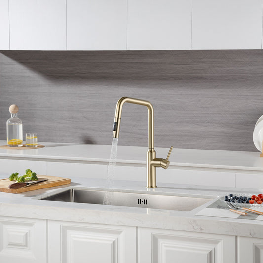 Rainlex Pull Down Kitchen Faucet