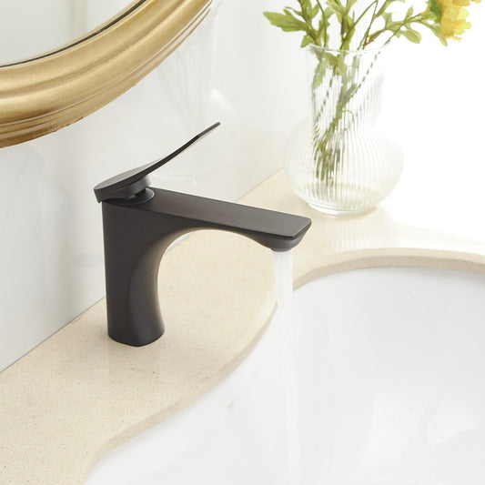 Modern Matte Black Bathroom Faucet with Single Handle