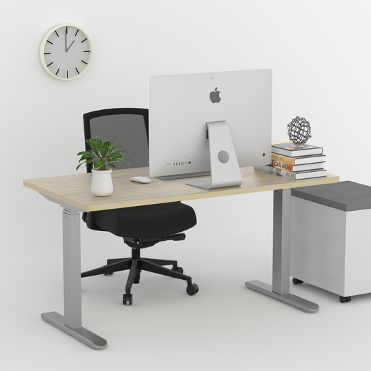 Height Adjustable Electric Standing Desk Frame by ErGear