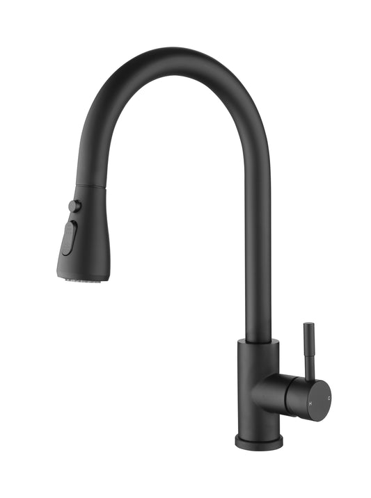 Kitchen Faucet with Pull Out Spraye