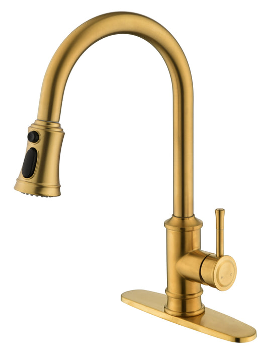 Kitchen Faucet with Pull Out Spraye