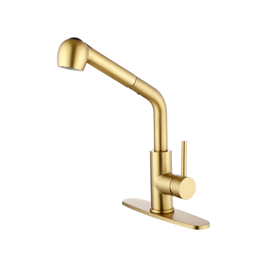 Utility Sink Faucets Single-Handle Pull-Out Laundry Faucet with Dual Spray Function in Stainless Spot Resistant  Gold