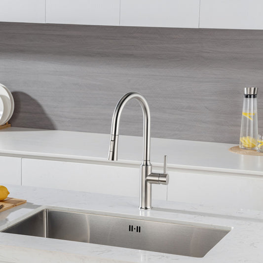 Rainlex Pull Down Kitchen Faucet