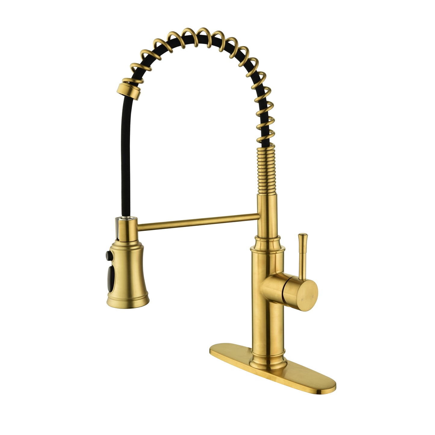 Kitchen Faucet with Pull Down Sprayer