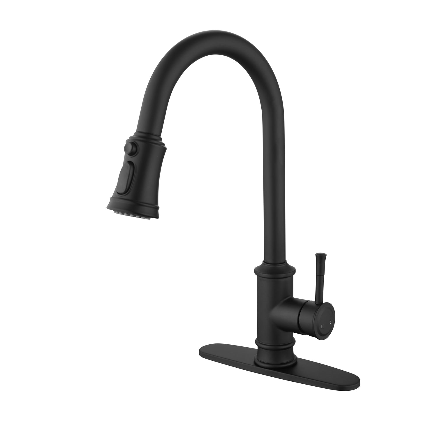 Kitchen Faucet with Pull Out Spraye