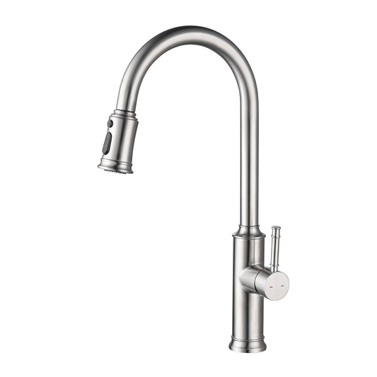 Kitchen Faucet with Pull Out Spraye