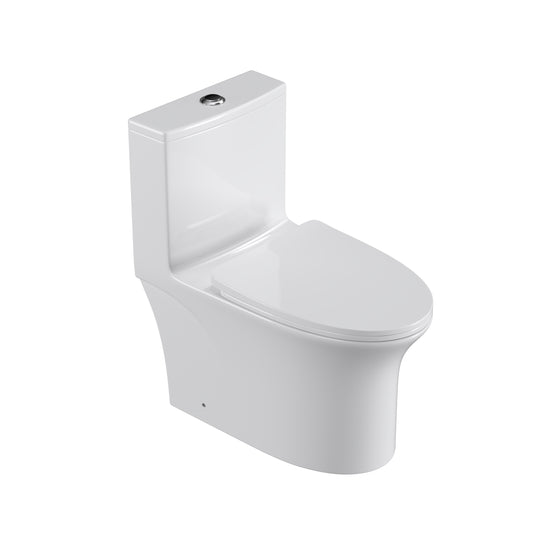 One Piece Dual Flush Elongated Toilet