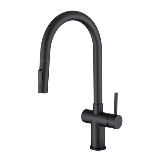 Rainlex Pull Down Kitchen Faucet