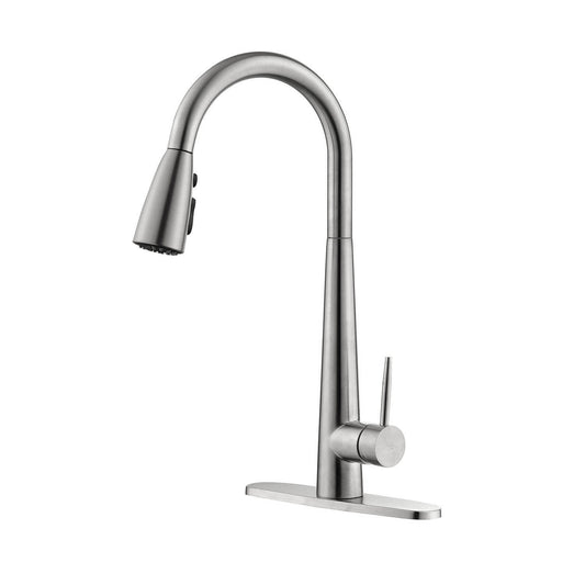 Kitchen Faucet with Pull Down Sprayer