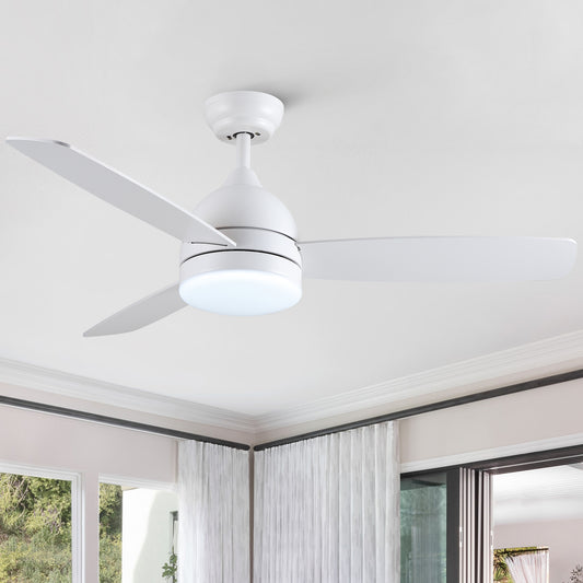 Smart 48 Black LED Ceiling Fan with Remote and Plywood Blades