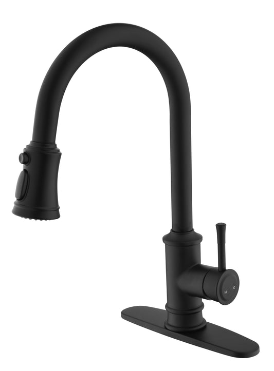 Kitchen Faucet with Pull Out Spraye