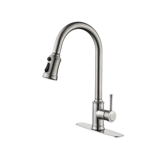 Single Handle High Arc Pull Out Kitchen Faucet,Single Level Stainless Steel Kitchen Sink Faucets with Pull Down Sprayer