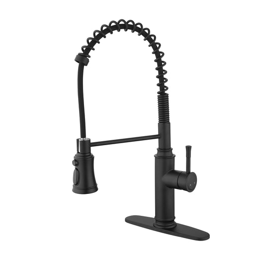 Kitchen Faucet with Pull Down Sprayer