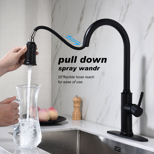 Kitchen Faucet with Pull Out Spraye