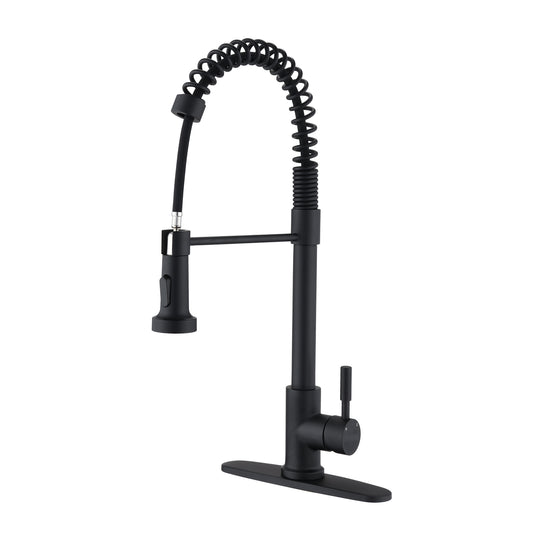 Pull Down Sprayer Spring Kitchen Sink Faucet Matte Black