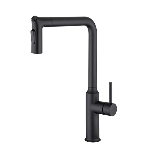 Rainlex Kitchen Faucet