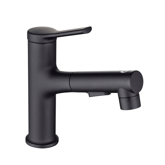 Single Hole Bathroom Faucet with Pull Out Sprayer and Dual Spray Modes