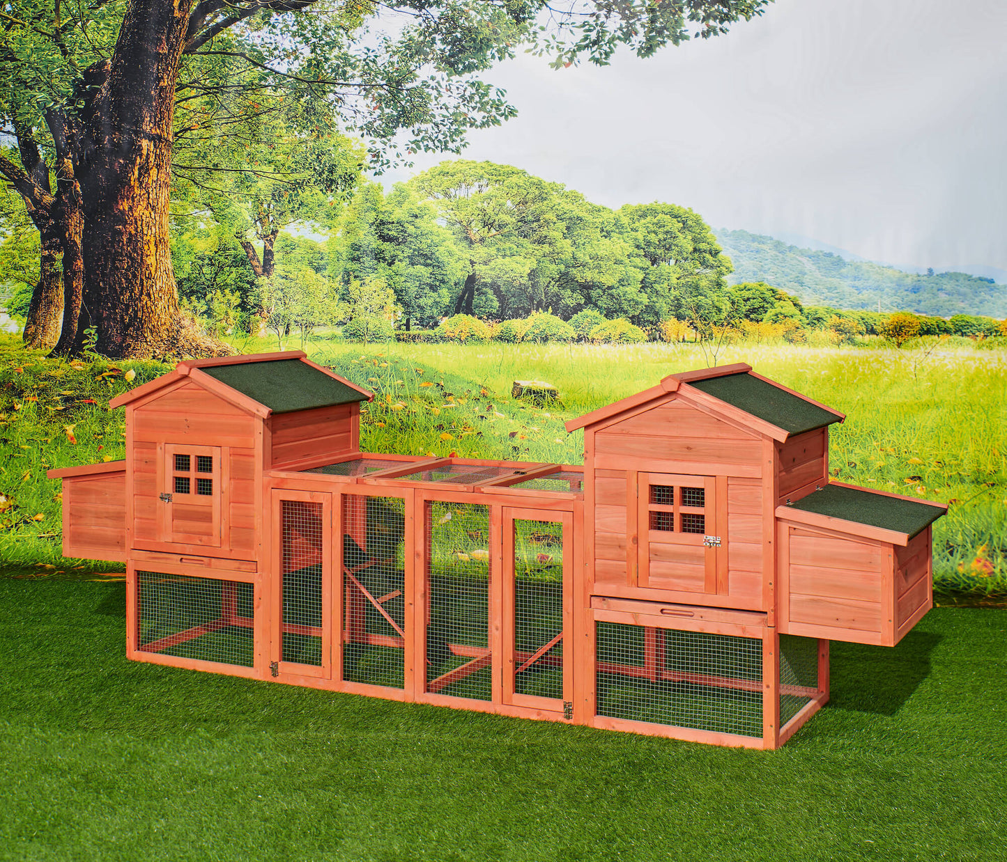 Chicken Coop Duplex with Outdoor Run