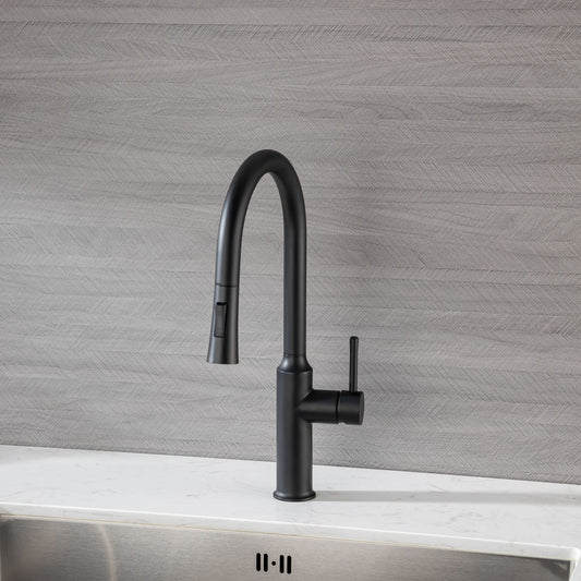 Rainlex Pull Down Kitchen Faucet