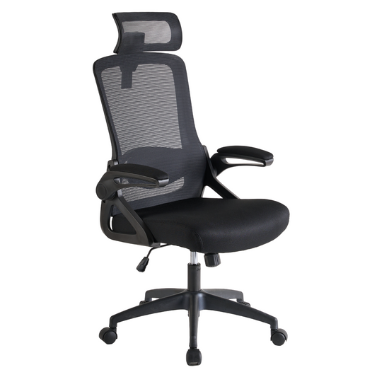 Ergonomic Office Desk Chair,Mesh High Back Computer Chair with Adjustable 3D Headrest & Lumbar Support & Flip-Up Arms Executive/Home/Study/Work Office Desk Chairs with Wheels