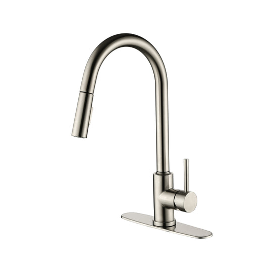 Kitchen Faucet with Pull Down Sprayer