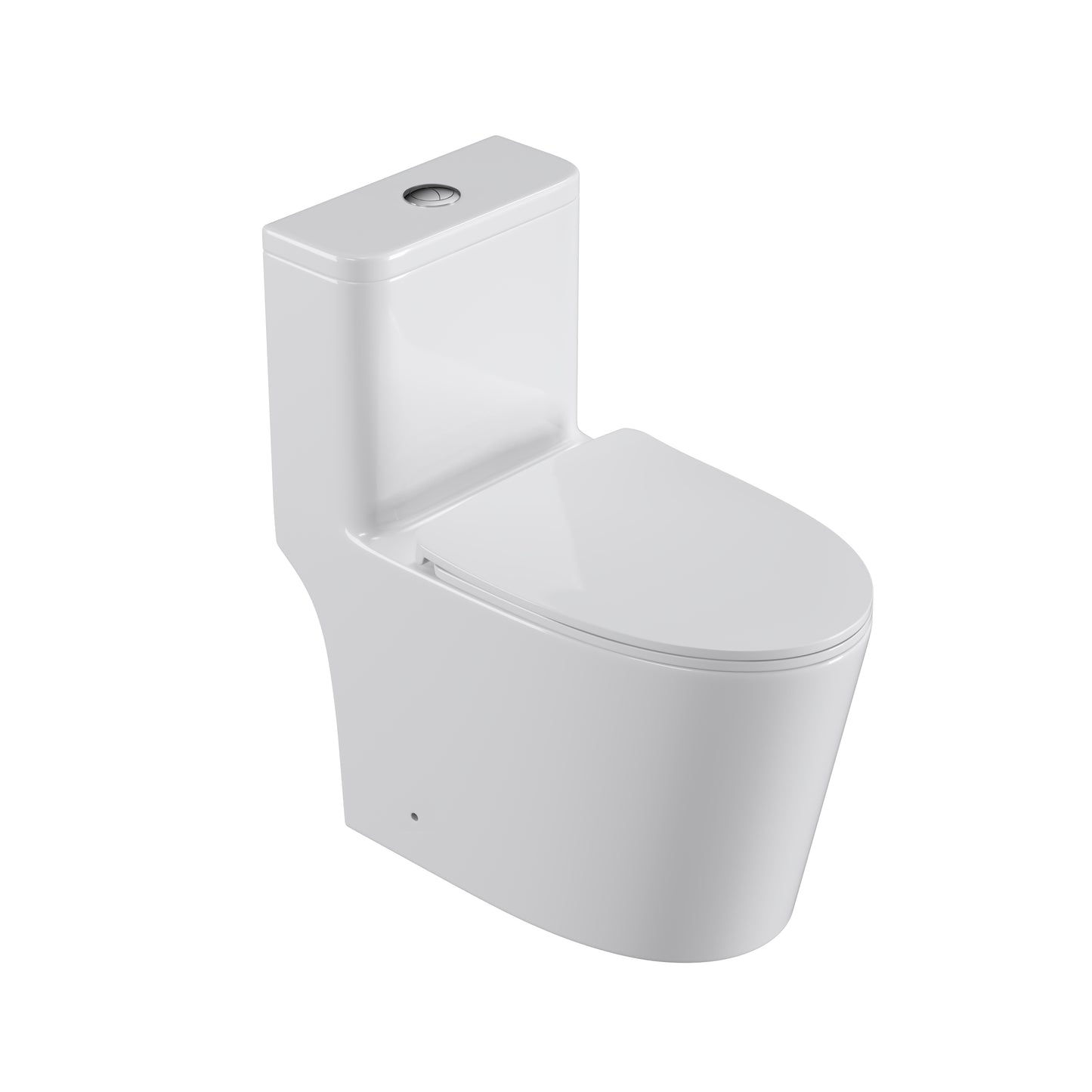 One Piece Dual Flush Elongated Toilet